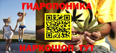 стаф Кимры