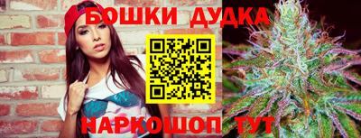 прущие грибы Кингисепп