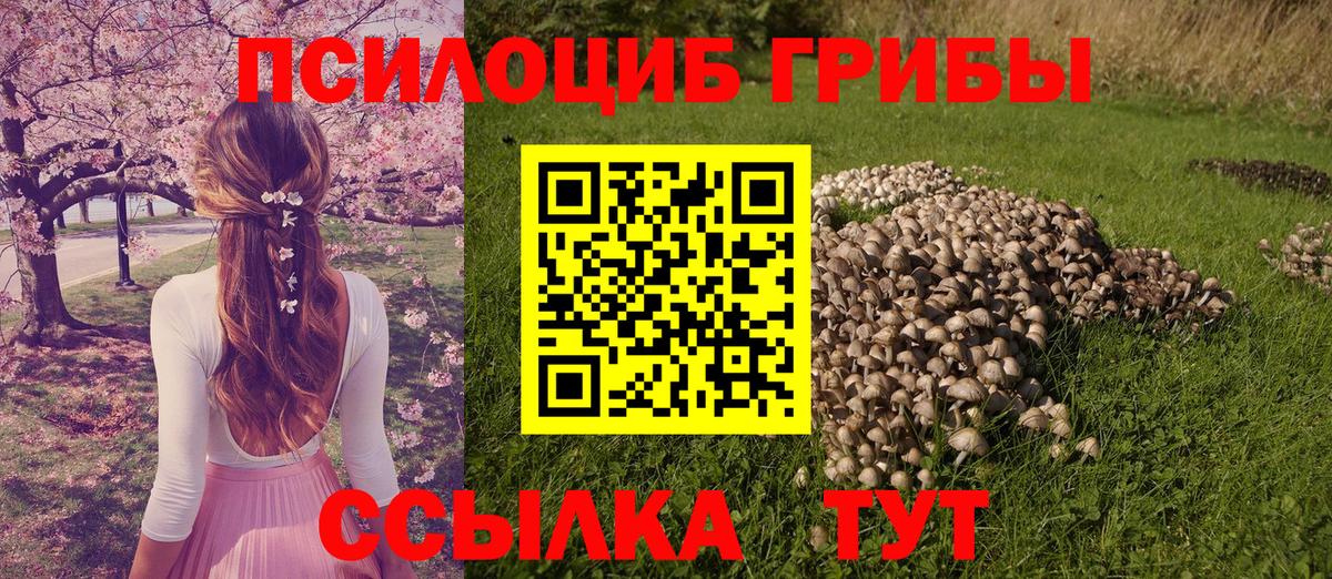 Псилоцибиновые грибы GOLDEN TEACHER Электрогорск