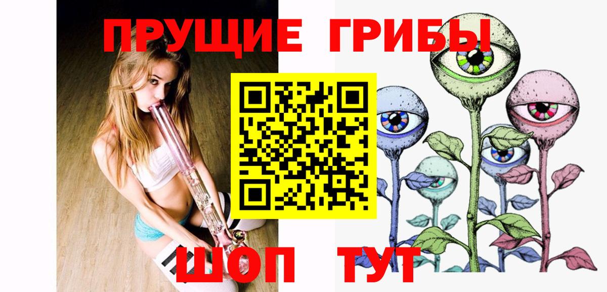 Галлюциногенные грибы GOLDEN TEACHER  Вход с VPN  купить наркотики цена  Галлюциногенные грибы Psilocybine cubensis  Электрогорск 
